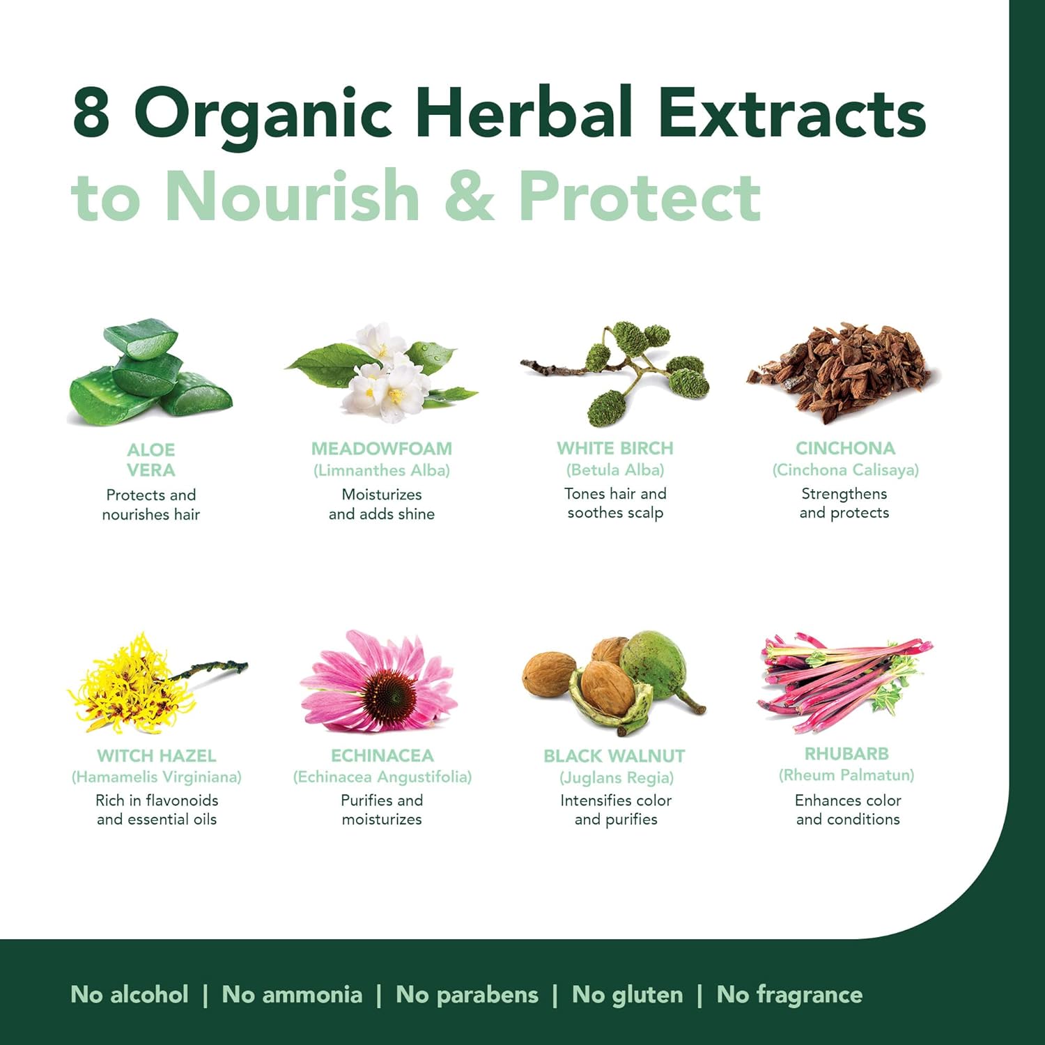 Herbatint Gluten Free Permanent Haircolor Gel 7N Blonde - Natural and Helathy Shine Vibrant, Long-Lasting Color - Hatke